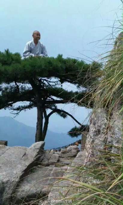 照片的真假的时候,有网友爆料称:"此高僧是九华山后山黄石溪的道僧洞