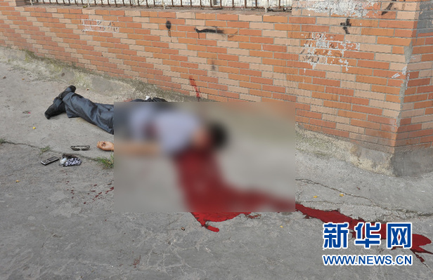 苏湘渝系列持枪抢劫杀人案告破公安部a级通缉犯周克华在渝被警方击毙