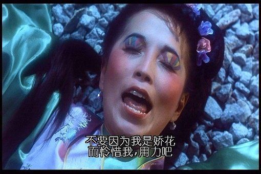 那只发情期的丹顶鹤一边追一边在喊"不要因为我是娇花就怜惜我,英雄