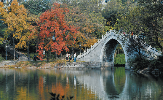 包河公园怡人的景色.以后合肥将有很多这样的公园,供市民休闲.