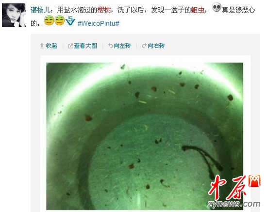 曝郑州樱桃沟樱桃现蛆虫回应中毒好还是吃虫好图