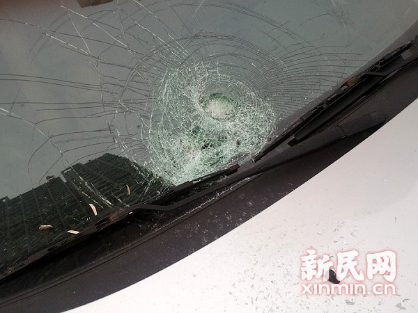 车辆的挡风玻璃被高空抛下的物体砸坏.图由读者提供