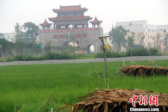 湖北省沙洋县官垱镇王坪村"正中水镇"村民新居,每户村民免费分得新居