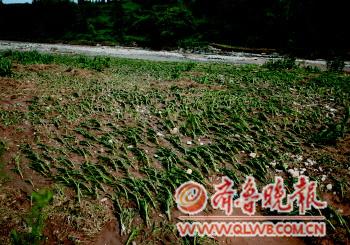 “这么多年就没见过这么大雨”_凤凰网