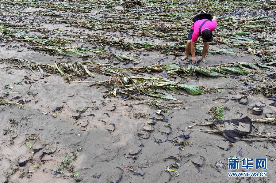 湖北保康遭遇暴雨洪涝灾害