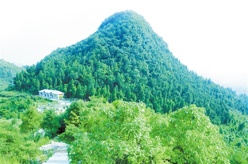 陝西省鳳凰山森林公園招商引資項目